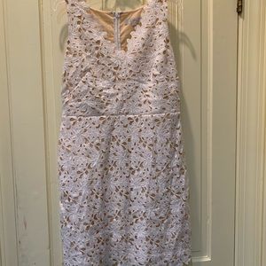Ann Taylor Loft lace dress